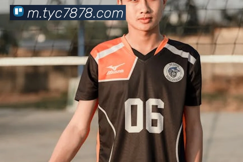 App Interface Preview