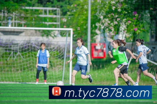 太阳城APP 封面图